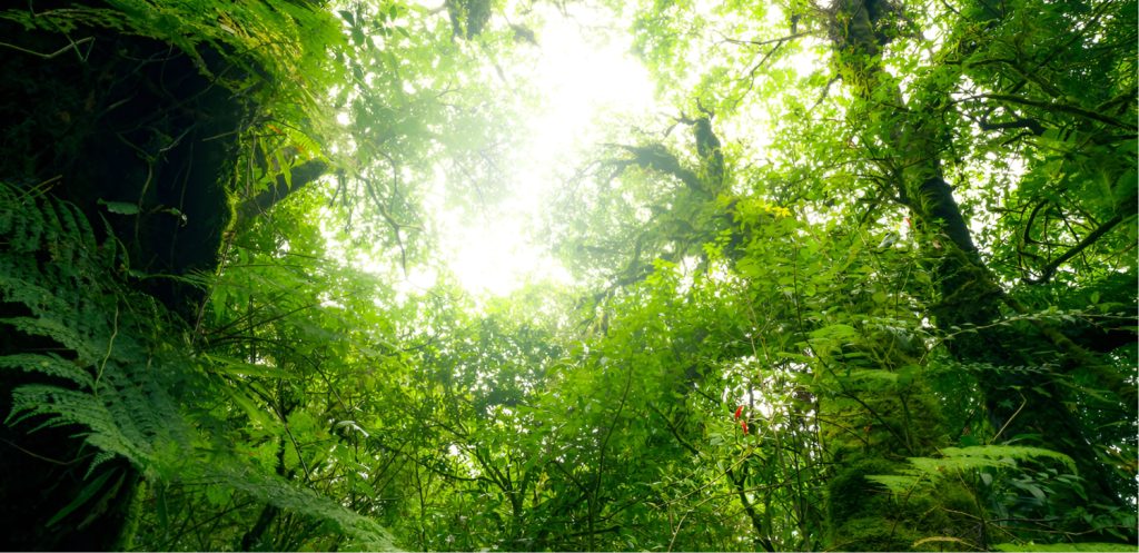 Suni smart energy – carbon credit project